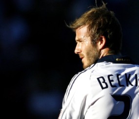 平台使用说明中3377体育的表现使用指南